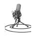 TRUST Microphone GXT 242 Lance Streaming Microphone