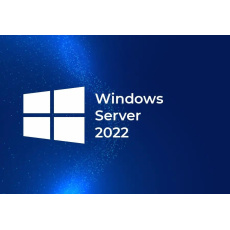 HPE Windows Server 2022 CAL 10 User