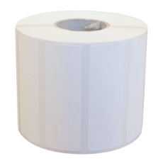 Labels (paper, plastic), label roll, TSC, W 100mm, H 150mm